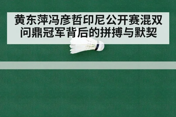 黄东萍冯彦哲印尼公开赛混双问鼎冠军背后的拼搏与默契