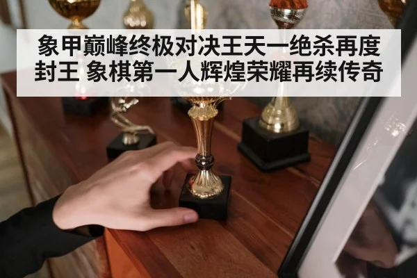 象甲巅峰终极对决王天一绝杀再度封王 象棋第一人辉煌荣耀再续传奇
