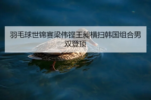 yu-mao-qiu-shi-jin-sai-liang-wei-keng-wang-chang-heng-sao-han-guo-zu-he-nan-shuang-deng-ding-2-269.jpg