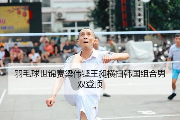 羽毛球世锦赛梁伟铿王昶横扫韩国组合男双登顶